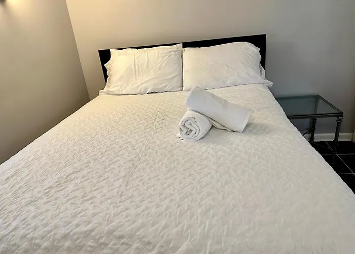 Close To Downtown - Free Parking Chicago